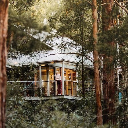 Bombah Point Eco Cottages Bulahdelah Exterior photo